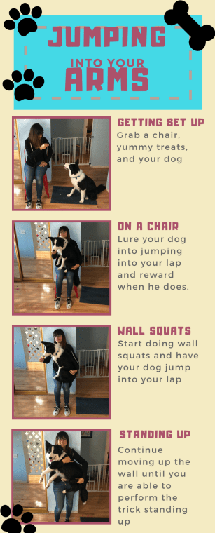 Creating Shirts Infographic.png