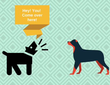 Hey! You! Come over here!.png