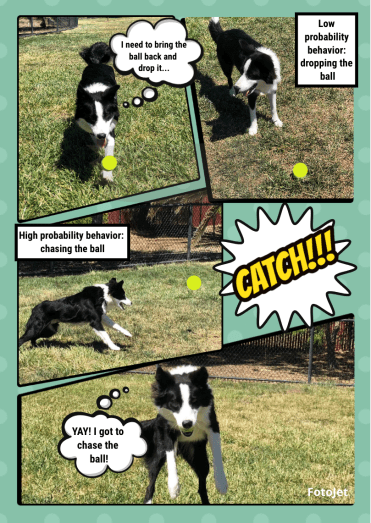 Screen Shot 2018-07-08 at 8.59.14 PM.png