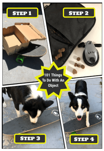 Screen Shot 2018-07-11 at 11.03.52 PM.png