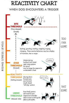 Screen Shot 2018-08-02 at 3.22.57 PM.png