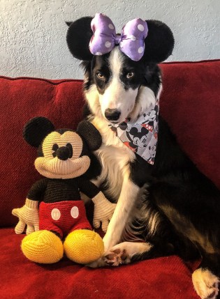 42665237-A44D-4179-A6A3-3AD741D1B83C