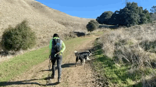 8667D6C6-81C8-4CC3-950C-EB3489A178B6