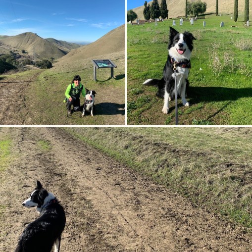 A6B39649-DE3D-45B6-9302-0463D95A30B8